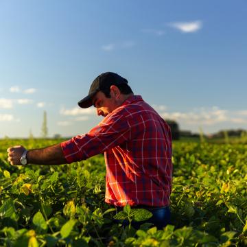 Sostenibilità Header