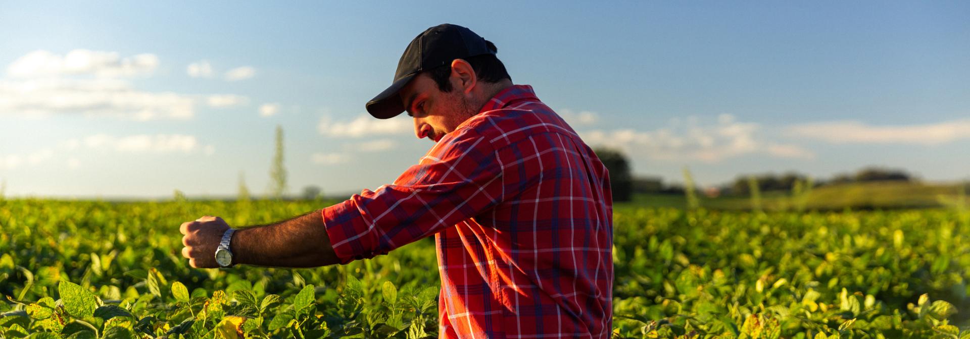 Sostenibilità Header